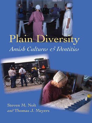 cover image of Plain Diversity